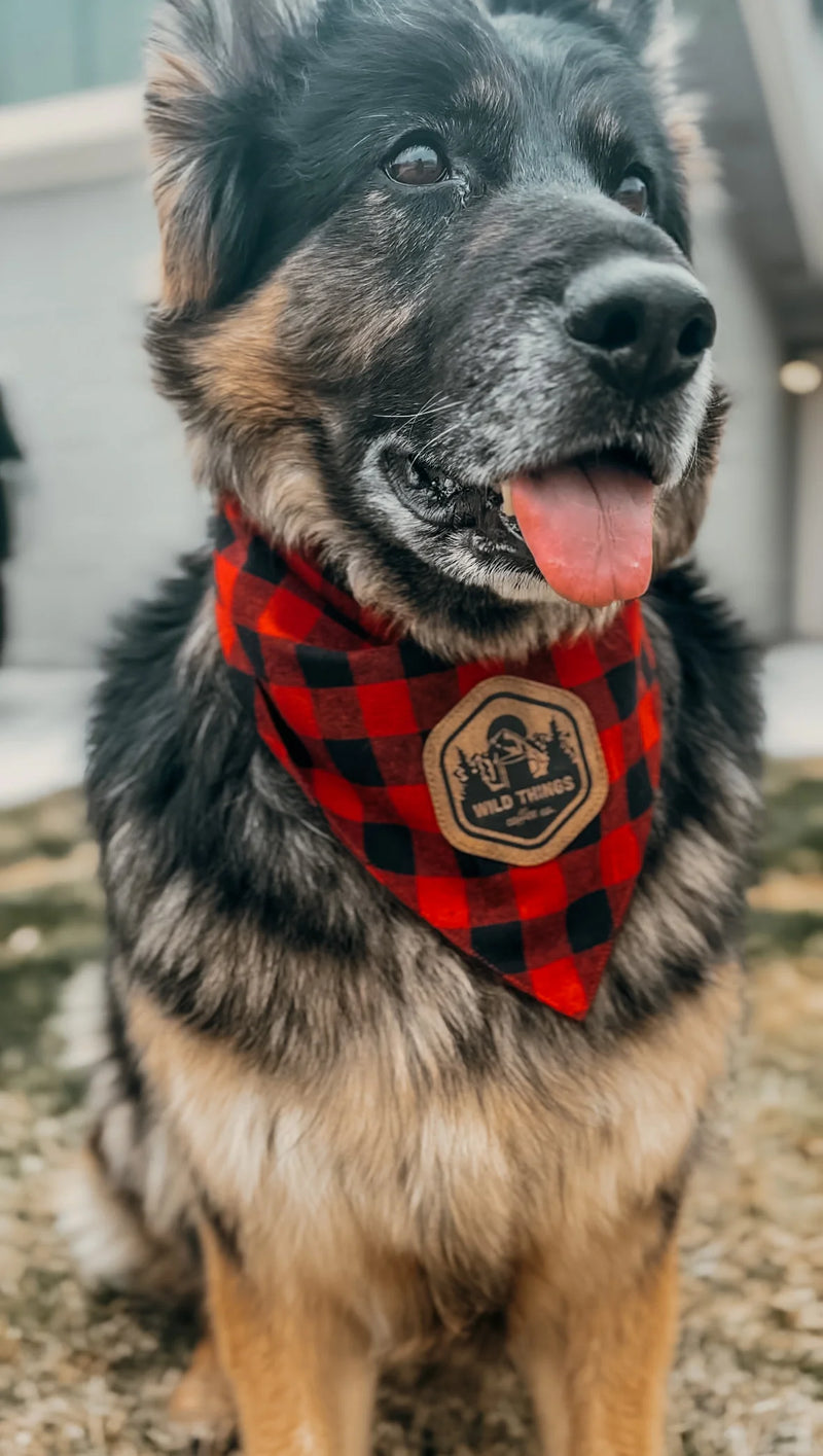 Dog Bandana